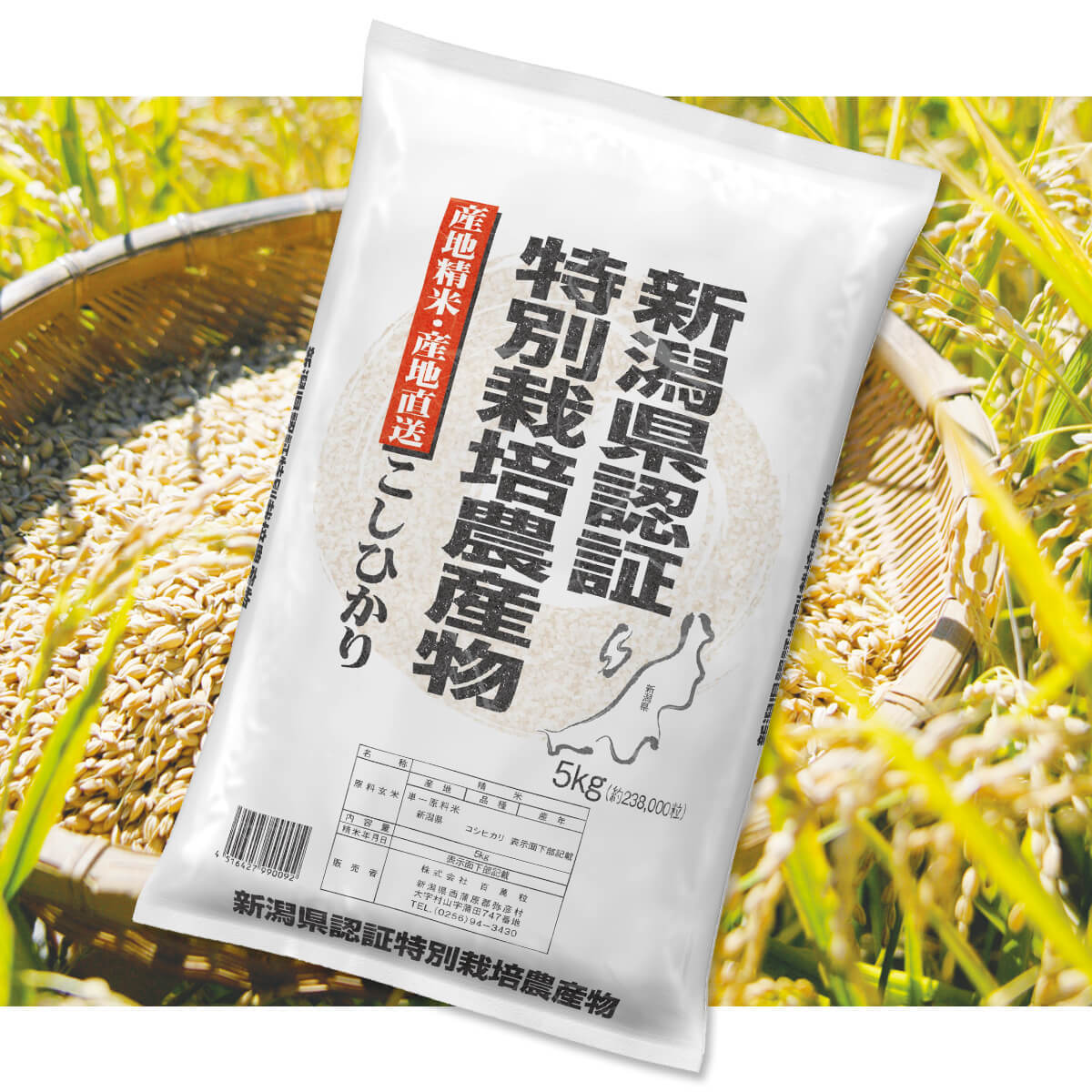 新潟県認証特別栽米 コシヒカリ